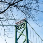 POLICY BRIEF: Health Care Lessons from Cross-Border Nurses